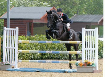 Silver League Qualifier at Houghton Hall Equestrian Centre